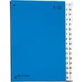 PAGNA Pultordner Blau DIN A4 Hartpappe 1 bis 31 Blau