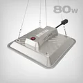 Greenception GC-PURE 80W LED Growlampe - Vollspektrum UV+FR, 60x60, 3J Garantie