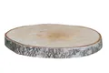iWerk Bastelnaturmaterial Birkenholzscheiben rund 100% Natur 18-30 cm ø