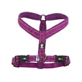 Hurtta Gepolstertes Hund-Geschirr, Y-Form