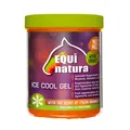 Equinatura Ice Cool Gel Kühlgel zur schnellen Regeneration der Muskeln 600 ml