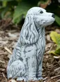 Frostfeste Steinfigur Cocker Spaniel Gartenfigur Steinguss Afghane wetterest