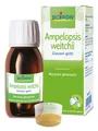 Ampelopsis Weitchii Mg Boiron 60ml