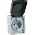 REV AquaBase 1-fach Steckdose - Feuchtraum, spritzwassergeschützt IP54 zweipolig, bis 2,5mm2, 230V, 50Hz, 16A,Aufputz, grau - Schwarz
