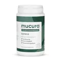 Mucura Flohsamenschalen Kapseln 225 Stück - Schnelle & Einfache Einnahme - Mind. 99% Reinheit - Verdauungsunterstützung - Geschmacksneutrale Ballaststoffe - Reisefreundlich - Psyllium Husk