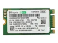 Lenovo SK Hynix - SSD - 128 GB - intern - M.2 2242 - PCIe 3.0 x2 (NVMe)