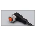 IFM electronic Kabeldose M12 EVC008 10-36VDC Konfektioniertes Sensor-Aktor-Kabel 4021179021296 (5 m) (EVC008)