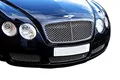 Zunsport Kompatibel mit Bentley Continental GT – unterer Grill, Grillsatz, silbern (2003 bis 2007)