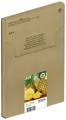 Epson Druckerpatrone T10G6, 604 Easy Mail Packaging Original Kombi-Pack Schwarz, Cyan, Magenta, Gelb