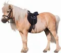 Kerbl Sattelset Economy Pony 15" 325415
