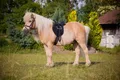 Sattelset Economy Pony schwarz (inkl.Gurt,Steigbügel,-riemen)
