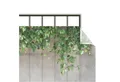 Bilderdepot24 Balkonsichtschutz Sichtschutz Balkon Tropisch Natur Mauer Efeu Balkonbespannung (1m bis 10m fein gelochter Sichtschutz aus Mesh für Geländern & Zäunen, Fertig geöst, inkl. Kabelbindern zur Anbringung) Sichtschutz Terrasse Balkontuch Balkonverkleidung Windschutz Terrasse
