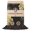 Sybotanica - Calathea & Maranta-Erde 20 L – Premium Coco Blumenerde für Calathea, Maranta, Begonia, Musa, Strelitzia & mehr, Torffrei & 180 Tage Bio-Dünger – Für Zimmerpflanzen-Liebhaber