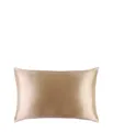 Slip Pure Silk Queen Pillowcase Caramel Kissen 1 Stk