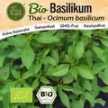 Thai-Basilikum Samen (BIO) - 500 Samen Kräutersamen Basilikumsamen
