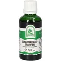 LUNGENKRAUT Tropfen zum Einnehmen 50 ml
