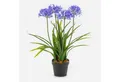 Kunstblume Agapanthus LESEDA im Dekotopf, blau, 65cm Agapanthus, artplants, Höhe 65.0 cm