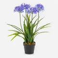 artplants Kunstblume Agapanthus LESEDA im Dekotopf, blau, 65cm