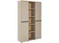Novel Aktenschrank, Grau, Eiche, Holzwerkstoff, 12 Fächer, 120x197x40 cm, Made in Germany, Beimöbel erhältlich, abschließbar, Arbeitszimmer, Aktenschränke