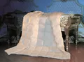Hofmann´s Sommer Daunenbett Daunendecke Bettdecke Sommerdecke 8x10 155x220 cm