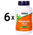 6 x NOW Foods Dandelion Root, 500mg - 100 vcaps (124,90 EUR/kg)