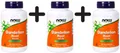 3 x NOW Foods Dandelion Root, 500mg - 100 vcaps (124,96 EUR/kg)