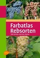 Farbatlas Rebsorten: 300 Sorten und ihre Weine von ... | Buch | Zustand sehr gut
