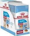9003579008324 ROYAL CANIN SHN Medium Puppy in Sauce - Nassfutter für Welpen - 10