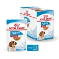 9003579008324 ROYAL CANIN Medium Puppy - Nassfutter für Hunde - 10x140g Royal Ca