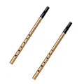 2 Stück Irische Pfeife, Penny Whistle mit 6 Löchern, Traditionelle Tin Whistl...