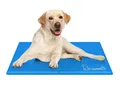 Kühlmatte Pecute für Hunde 0,4 mm Dicke PVC Oxford Selbstkühlung