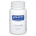 Pure Encapsulations L-Carnitin Kapseln Inhalt: 43 g
