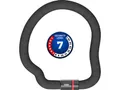 Abus Goose Lock 6206K/85 Kettenschloss (85cm | schwarz)