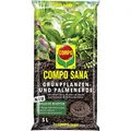 COMPO SANA Grünpflanzenerde und Palmenerde mit 12 Wochen Dünger für alle Zimmerpflanzen, Balkonpflanzen, Palmen und Farne, Kultursubstrat, 5 Liter, Braun