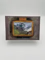 Harry Potter 20 Years Trading Card Anniversary Box | PANINI