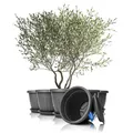 6x Blumentopf Balkonkasten Pflanzkübel Untersetzer rund  50xH38 cm anthrazit