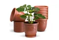 Plastard Pflanzkübel 3er, 5er, 10er Sets, Blumentopf mit passenden Untersetzer 15 - 40 cm (10 St., Blumenkübel ist Witterungs-, frost- und UV-beständig)