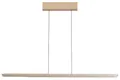 Fischer & Honsel LED-Pendelleuchte 1flg