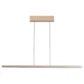 Fischer Honsel TORVI LED-Pendelleuchte Hängelampe Höhenverstellbar 115 x 180 cm