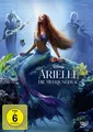 Arielle, die Meerjungfrau (Live Action) Halle Bailey