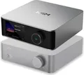 WiiM Vibelink Amp Verstärker  (silber)