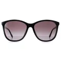 Ted Baker TB1646 Delfi 001 Glanz schwarz grau Farbverlauf Sonnenbrille