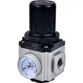 Riegler Druckregler »GA-mini«, inkl. Manometer, BG 200, G1/8, 0,5 - 9 bar