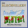 Metallus Dianthus