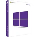 Windows 10 Pro  ; OEM Produkt