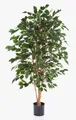 artplants Künstlicher Ficus Benjamina Thiago, schwer brennbar, grün, 120cm