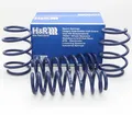 H&R Tieferlegungsfedern 45/30mm für BMW F31 xDrive + 55/35mm für F34 xDrive
