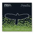 PRS Guitars PRS Signature Strings Regular Light 10-46
