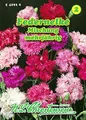 Dianthus plumarius, Federnelken, Mischung N.L.Chrestensen Samen 542920-B