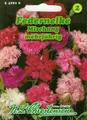 Federnelken Mischung 'Dianthus plumarius' mehrjährig 542920